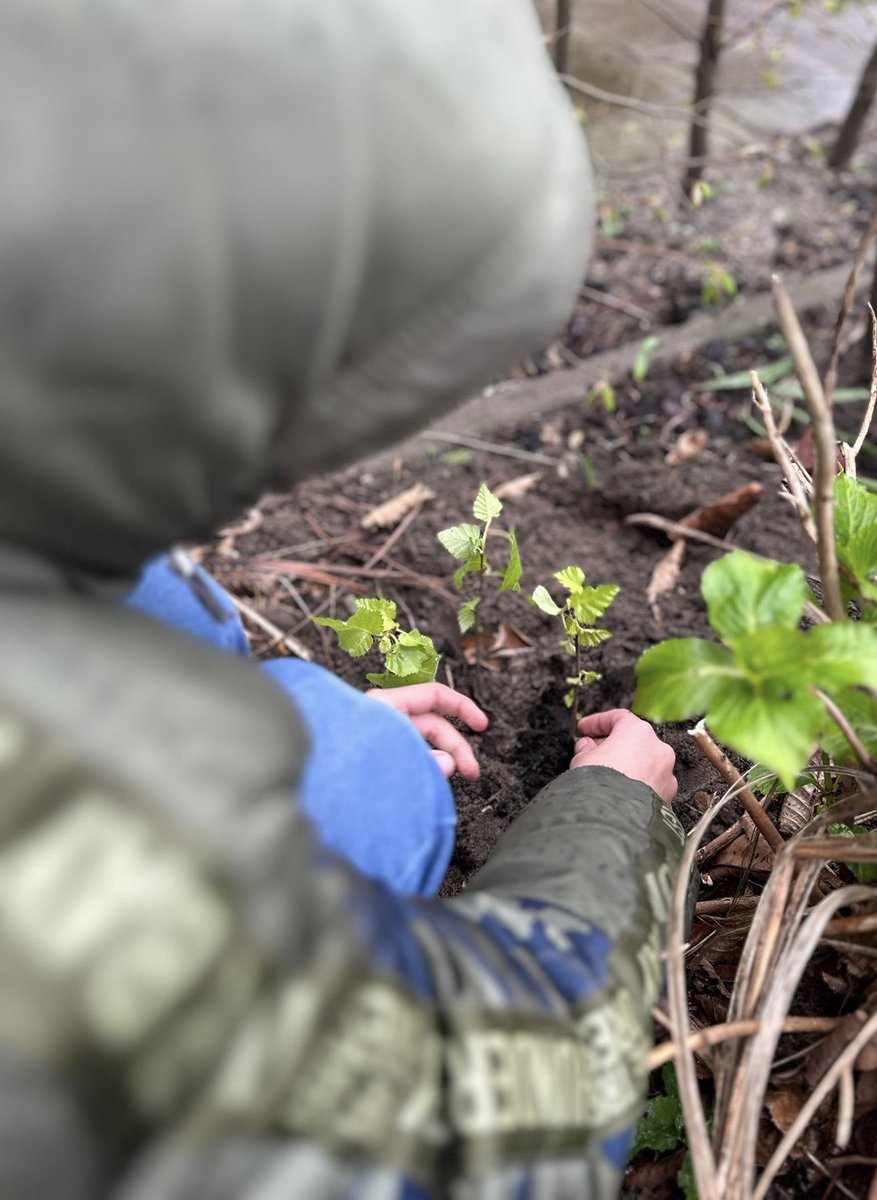 Ronald Loch tweet media