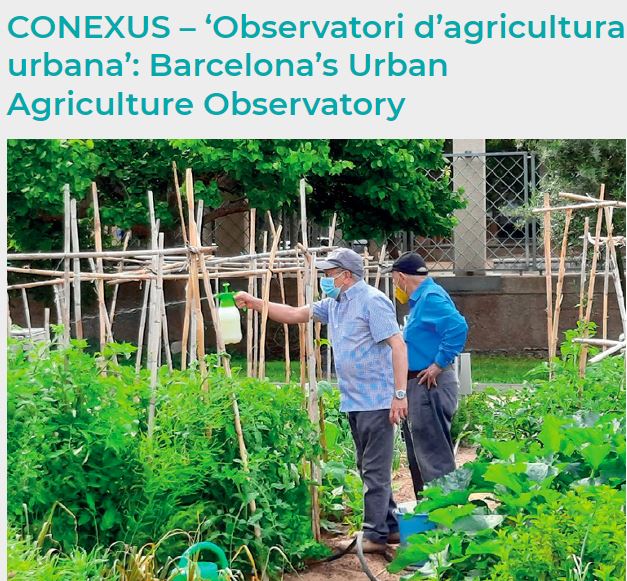 HortsConexusBCN tweet media