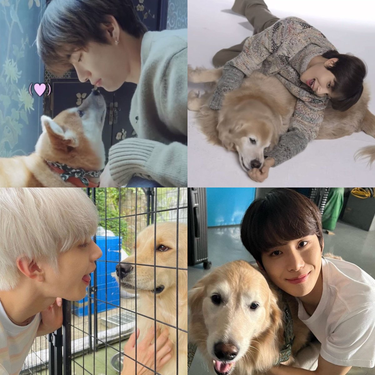 ┍━━━━━━━━»•» 🐶🐾 «•«━┑
    국제 강아지의 날! 정우야 사랑해!
┕━»•»   🐕«•«━━━━━━━━┙