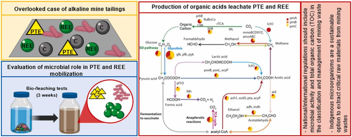 IRNASA-CSIC (@irnasa_csic) on Twitter photo 📰😃 Very happy to share a new paper in <a href="/HAZMAT_journal/">Journal of Hazardous Materials |Letters |Advances</a>: "Role of indigenous microbial communities in the mobilization of potentially toxic elements and rare-earth elements from alkaline mine waste" 🦠 signed by our researcher Á. Valverde among others 👉doi.org/10.1016/j.jhaz… 📰😃 Very happy to share a new paper in <a href="/HAZMAT_journal/">Journal of Hazardous Materials |Letters |Advances</a>: "Role of indigenous microbial communities in the mobilization of potentially toxic elements and rare-earth elements from alkaline mine waste" 🦠 signed by our researcher Á. Valverde among others 👉doi.org/10.1016/j.jhaz…
