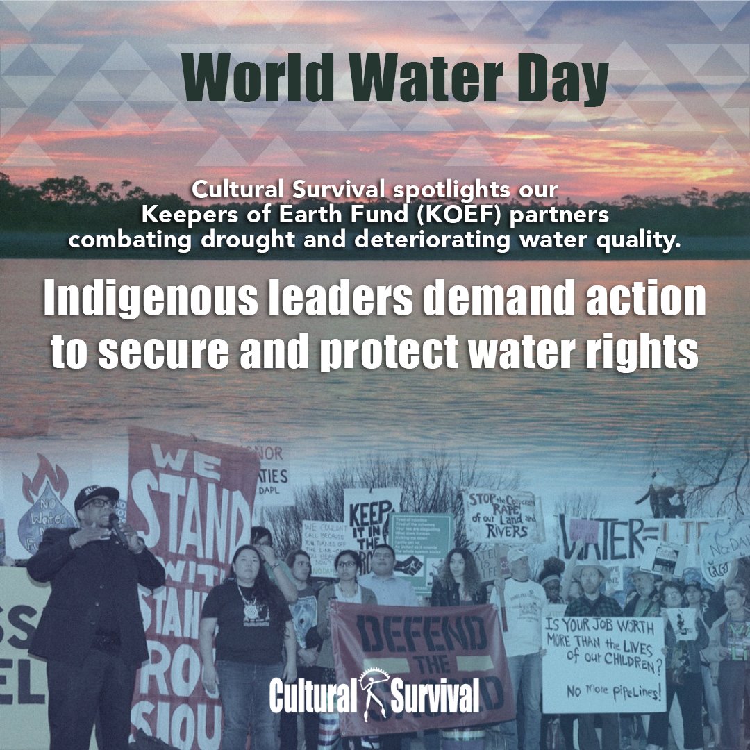 CSORG's tweet photo. On this #WorldWaterDay, get to know some of our grant partners who are working tirelessly in their communities to raise awareness about water's vital role in sustaining life. #IndigenousPeoples #WaterIsLife #WorldWaterDay #WaterBack #DefendTheSacred

https://t.co/5Y7LDNK7Er https://t.co/YJF67HlkDv