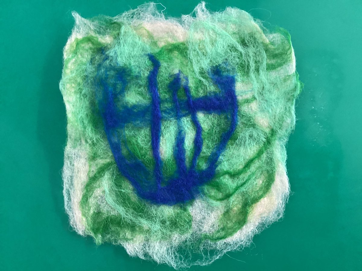 OWPStoucans tweet media