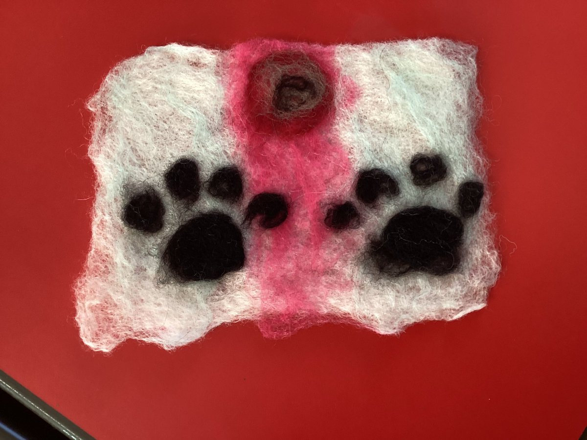 OWPStoucans tweet media