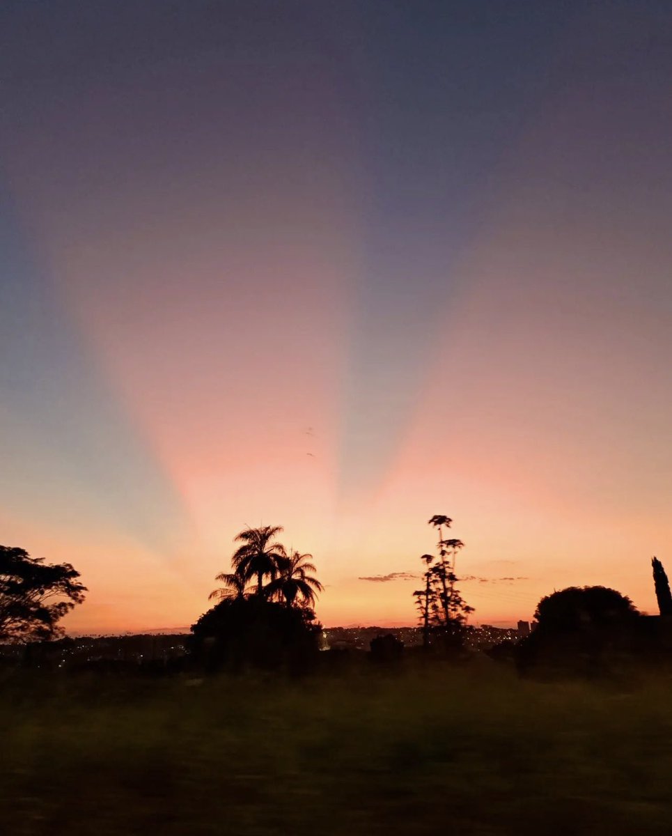 FernandoPoeta_'s tweet photo. Mesmo sendo uma estrela, te escondo na noite. Temo te perder para o dia!

Fotografia de Neide De F. Gionco https://t.co/lbSBZjZR1R