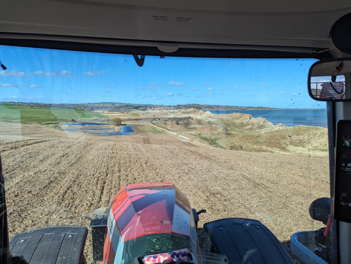 Mark Vickers tweet media