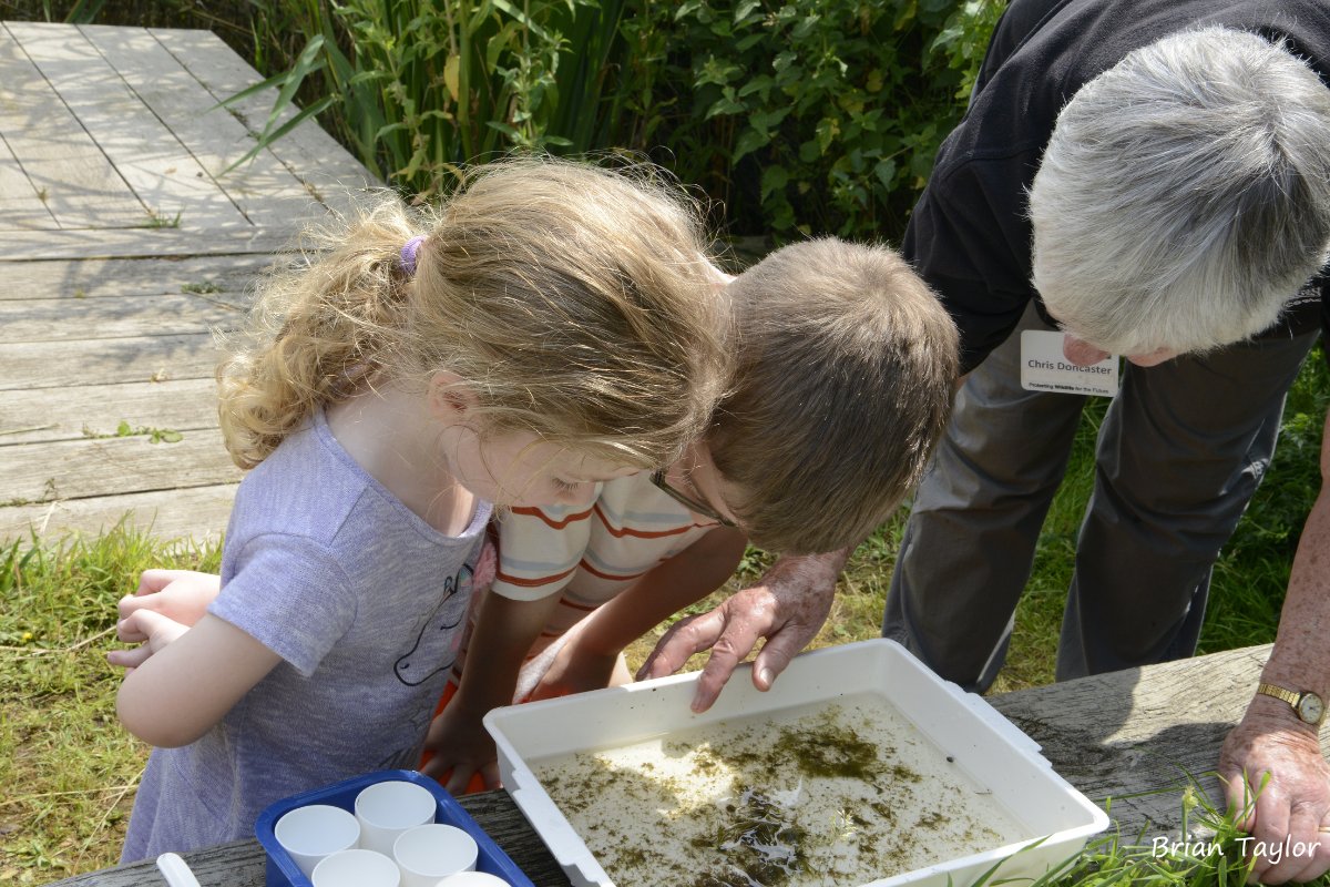 Not long until our family nature day! Join us on Thursday from 10am until 3pm at #LowerSmiteFarm for 
🌱 Seed ball making 
🔎 Pond dipping 
🎨 Colouring and egg design 
Learn more 👇 
worcswildlifetrust.co.uk/events/2024-03…