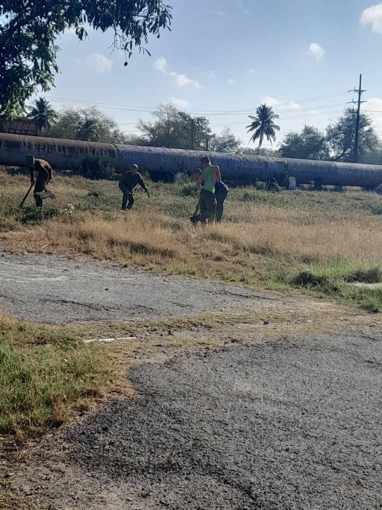 Jóvenes siempre activos en las tareas, apoyando a los trabajadores del Central Majibacoa. @yzaldivarh @yurisbelgt <a href="/DME_Majibacoa/">DGE Majibacoa - Las Tunas - Cuba</a>