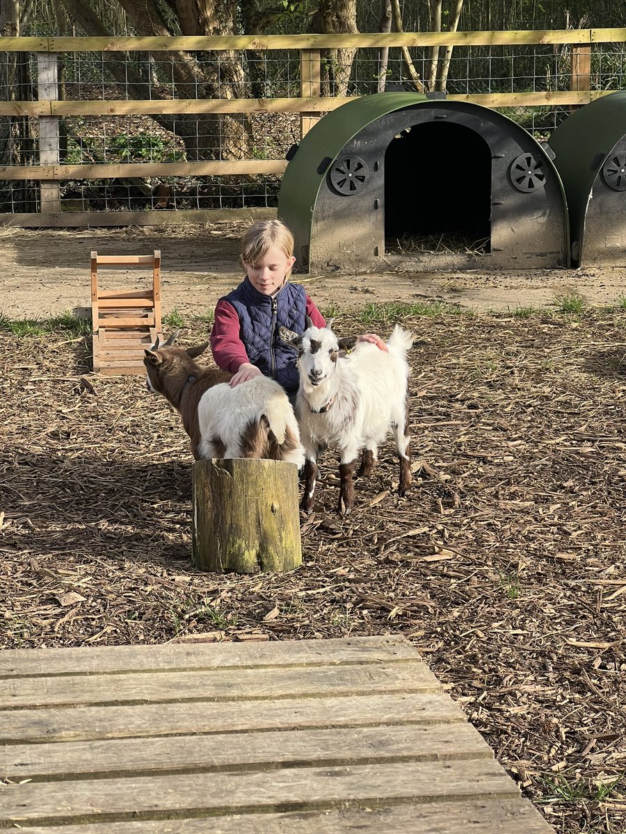 Ben McCarey | Holyport College tweet media