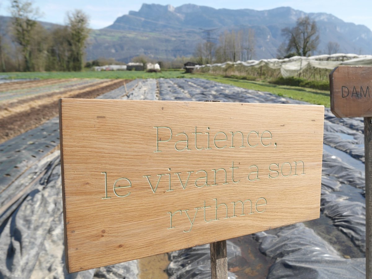 LKG_atelier's tweet photo. Il y a 1 an, je gravais des plaques de signalétique pour des mara��chers bio, pour identifier leurs  cultures. Chaque zone porte le nom d'une personne inspirante ! 
Le bois a un peu vécu, mais les plaques et les gravures ont bien tenu à l'extérieur ! 
>> https://t.co/Wrpf5Px2Dx https://t.co/aIBARbxXHm