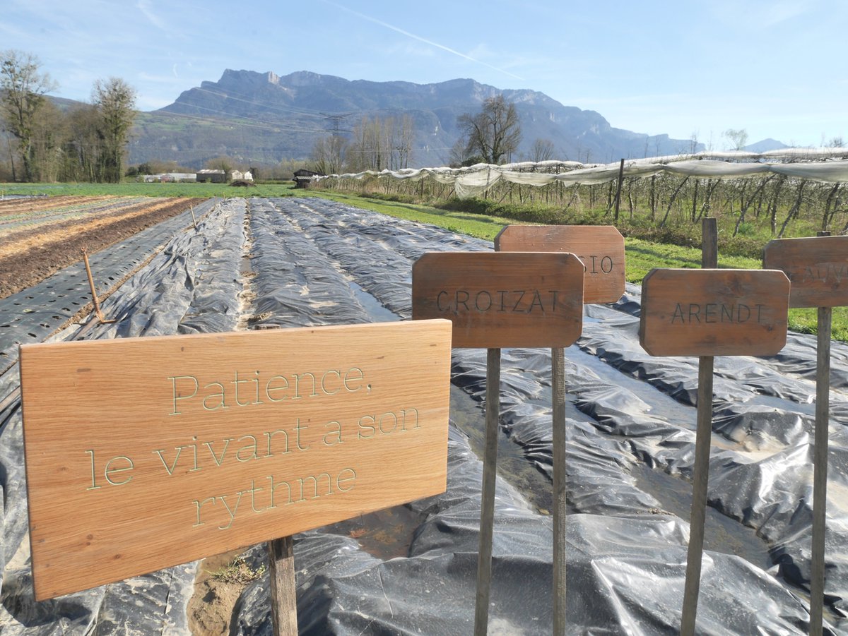 LKG_atelier's tweet photo. Il y a 1 an, je gravais des plaques de signalétique pour des mara��chers bio, pour identifier leurs  cultures. Chaque zone porte le nom d'une personne inspirante ! 
Le bois a un peu vécu, mais les plaques et les gravures ont bien tenu à l'extérieur ! 
>> https://t.co/Wrpf5Px2Dx https://t.co/aIBARbxXHm