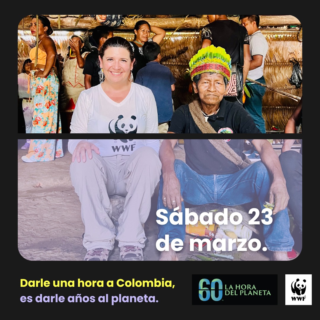 ¡Si todos le damos una hora a Colombia, serán años para el planeta! 

#LaHoraDelPlaneta nos invita a todos a conectarnos este sábado 23 de marzo con la biodiversidad, la familia, los amigos. 

Les comparto toda la información e ideas para que se sumen: wwf.org.co/que_hacemos/jo…