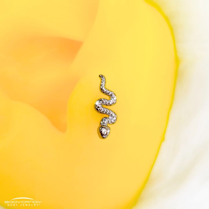 bodycandy's tweet photo. Ssslithering into the weekend 🐍✨ https://t.co/PIylN2bKbt

#bodycandy #bodyjewelry #bodymods #piercings #tragus #lipring #cartilagepiercing https://t.co/gJnT93ifM9