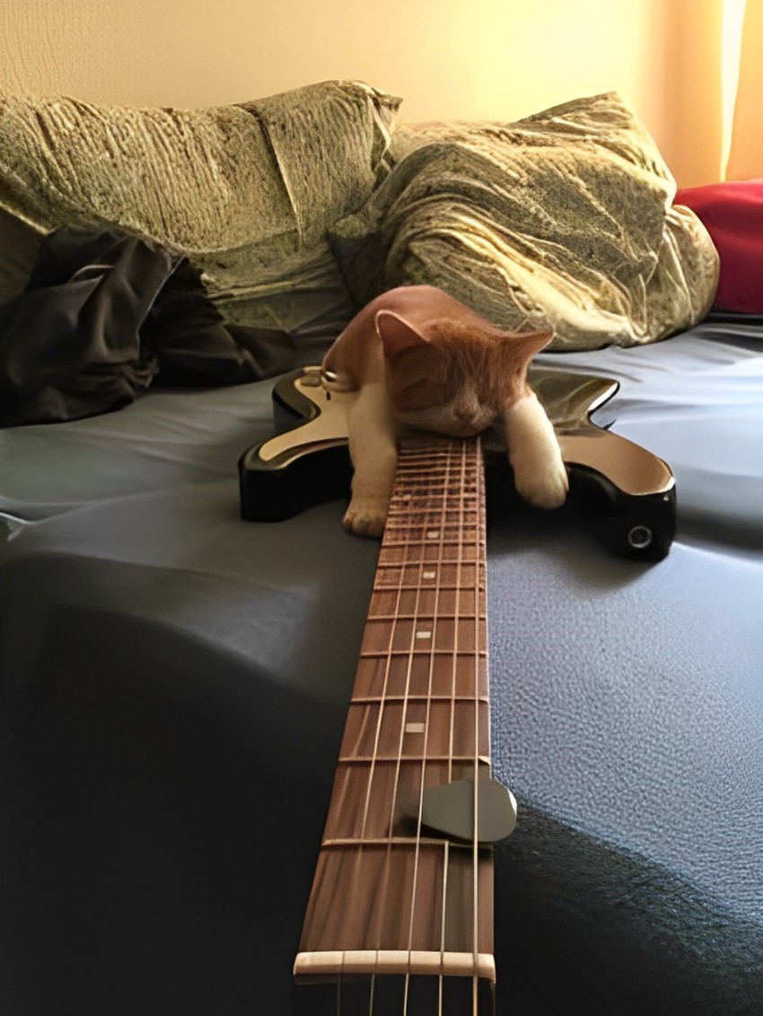 Alexa_art77's tweet photo. My cat loves music, like me.🎵🎶🎼🎻🎸
#musicshower #VtubersUprising #Cat #love #lovingcat #Vtubers #ENVtubers #VtubersUprising #streamers #TwitchStreamers #debut #comissionopen #furry #Rating #pngtuber #artist #GETTR #SONG #anime #VTUBERSUPPORTCHAIN #SleepingBeauty https://t.co/pul650uvVn