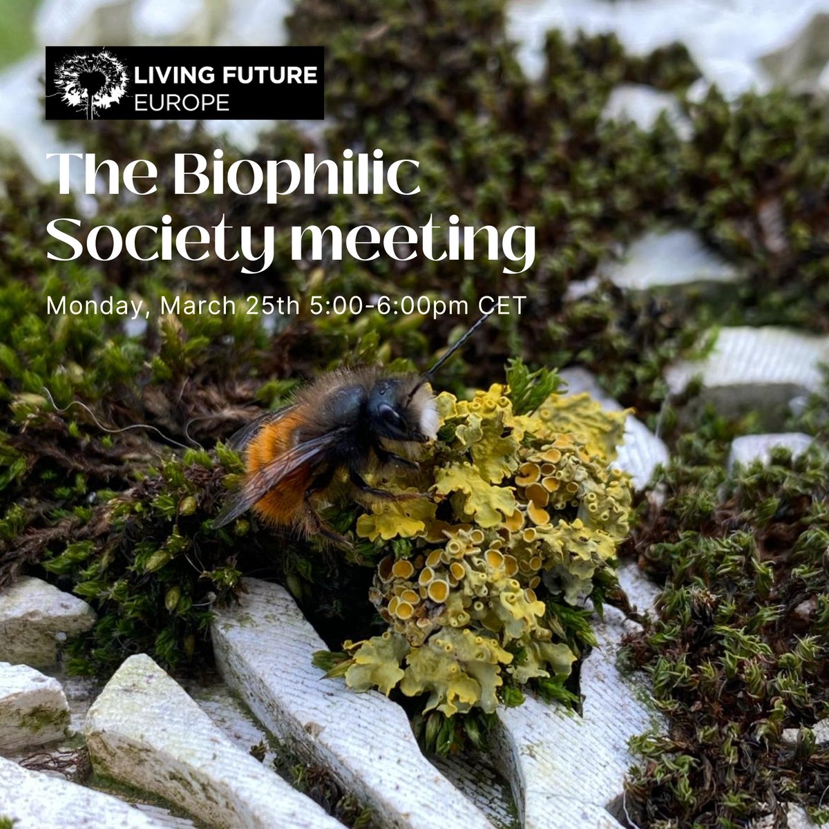 Barbara Pollini tweet media