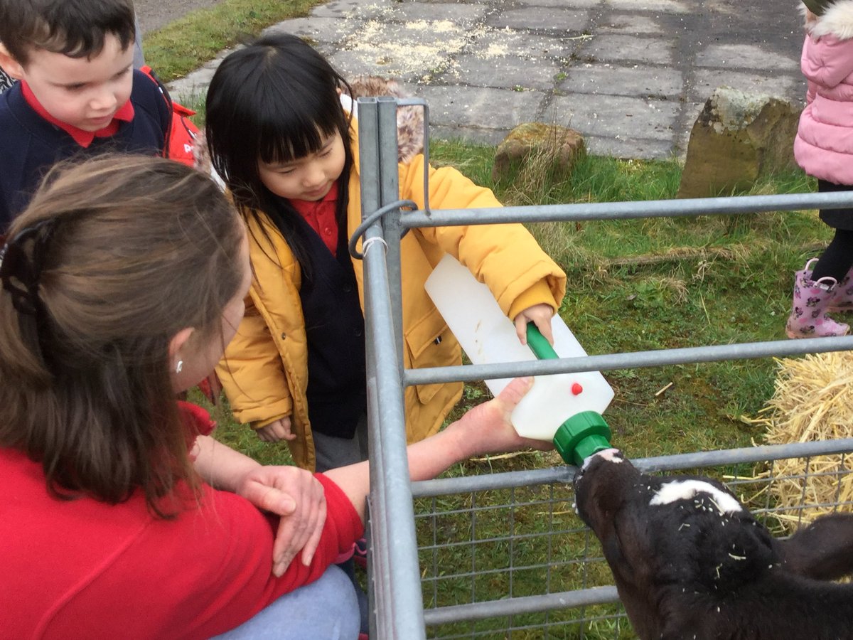 More photographs from our fabulous day, when the Farm came to Westfield.