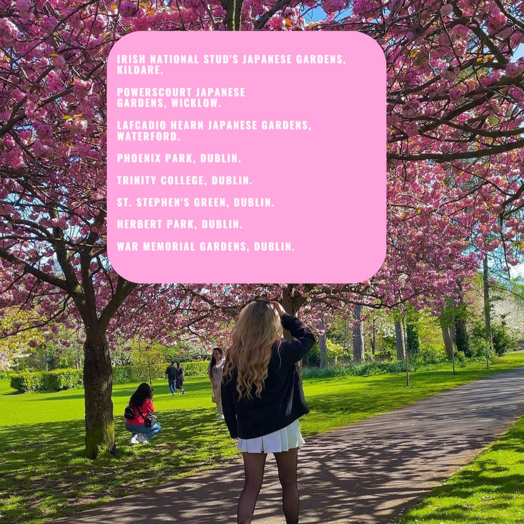 We've got something fun for your spring to-do list! 🍒 Check out our list to see cherry blossoms around Ireland 🌸👇🏻 From colourful city parks to hidden gardens, it is a must-do this month! 📸 kirstyevamckevitt [IG] #KeepDiscovering