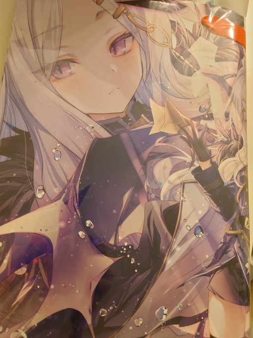 あとブルアカのヒナの紙袋(ポスターだと思って買ってから気付いた)が絵が気に入って買ったんですが、誰が描いたのか分からないんで同人グッズ詳しい方がいたら教えて下さい 