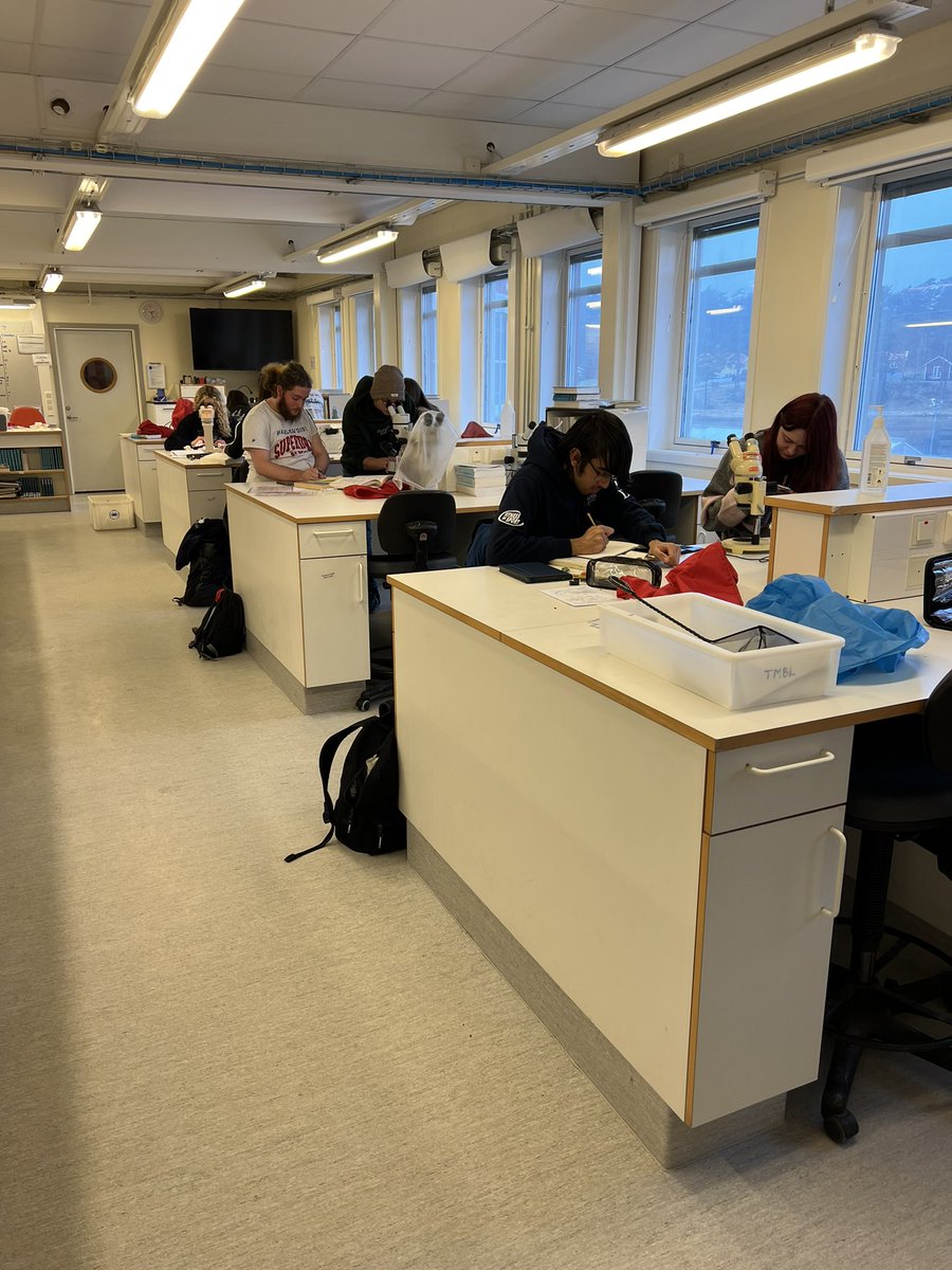 Nicola Foster tweet media