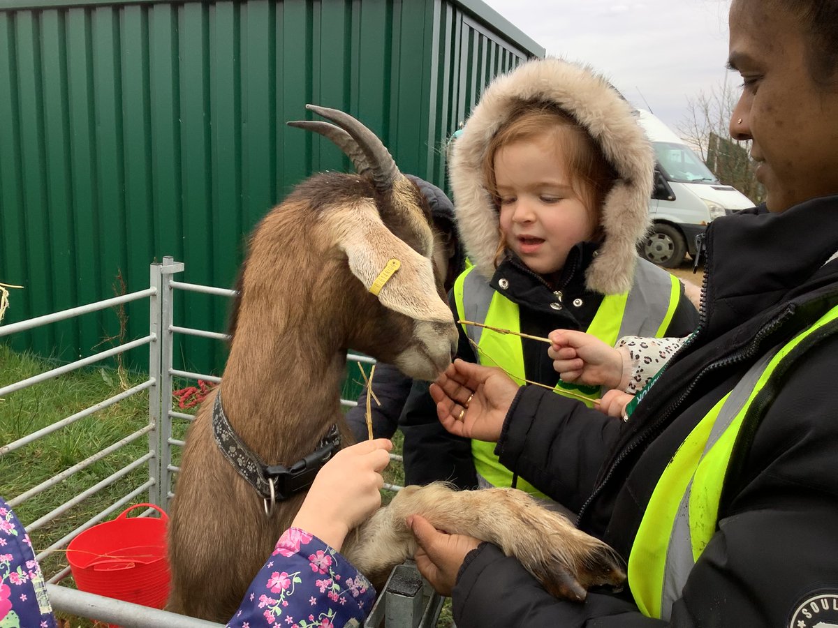 Westfield School (@westfield_wigan) on Twitter photo 