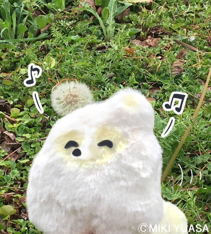 タヌさん - Search / X