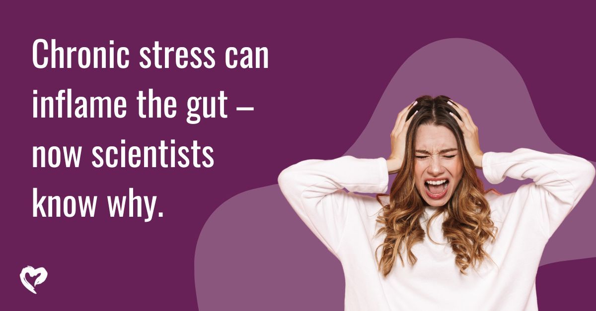 Chronic stress harms #guthealth, but #mindfulness can help. Prioritize mental and physical well-being for a calm mind and happy gut. 🌟 #MindGutConnection #HolisticHealth #HealthyLiving #HealthTips #HealthHero #AskDrNandi