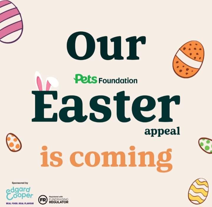 If you are local to the Stoke-on-Trent area, please pop along to Pets at Home, Festival Park and say hello to some of our fabulous fundraising team. They will be in the store this Saturday and Sunday raising awareness of our Super Seniors 🥰 #fundraising #seniorstaffy #blessed ♥️
