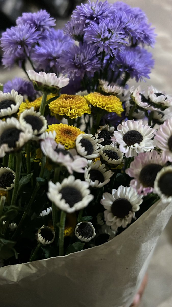 aex⚕️ tweet media