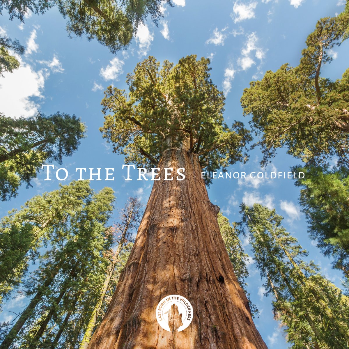 NEW: To The Trees: Diversifying Tactics To Defend The Sacred @ @RadicalEleanor LISTEN: lastborninthewilderness.com/episodes/elean…