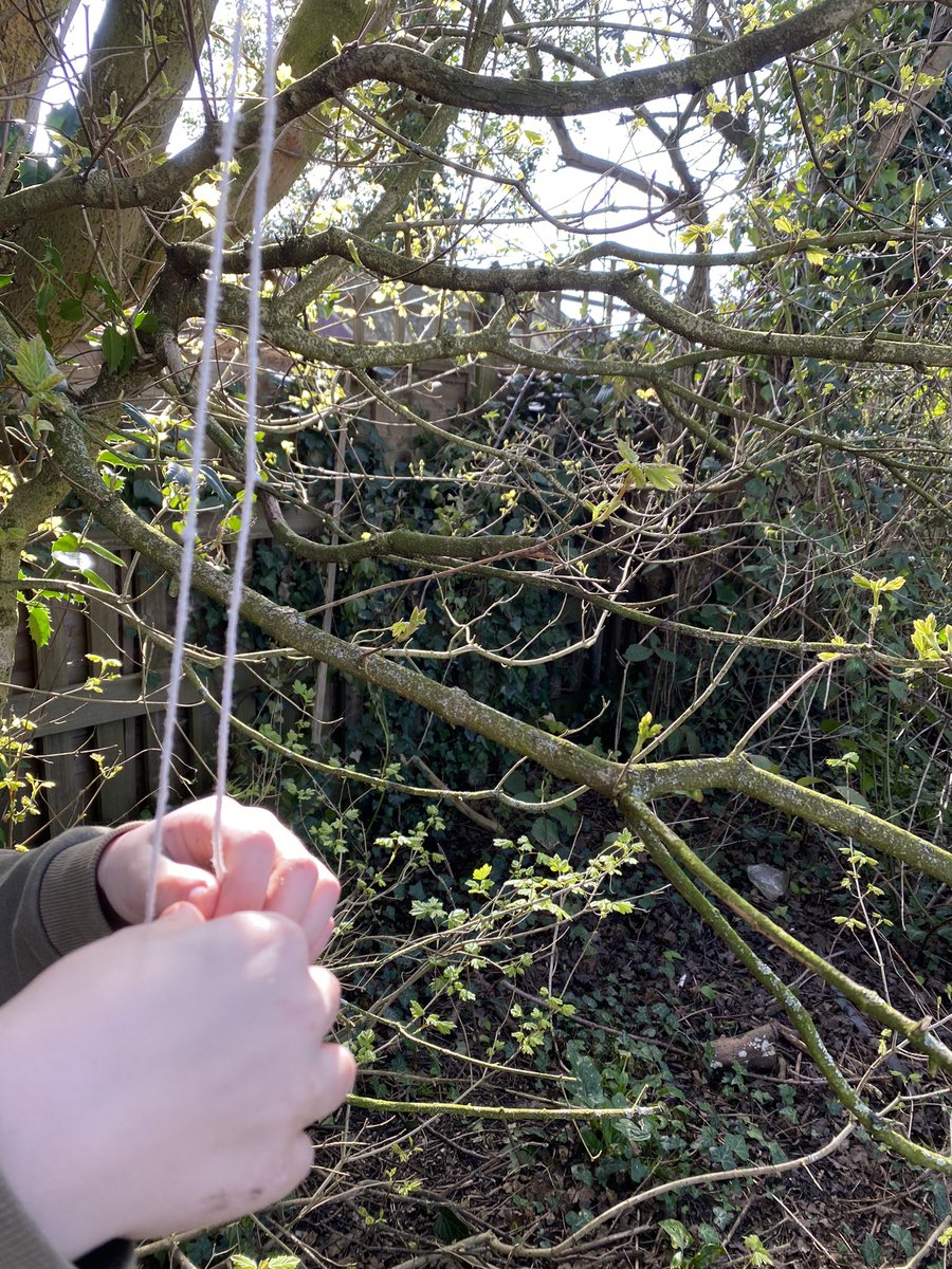 MrsH_HCPS's tweet photo. A great afternoon of outdoor learning. ☀️ Building structures and creating our miniature fantasy worlds. @HuttonCran https://t.co/NdrrGey6TG