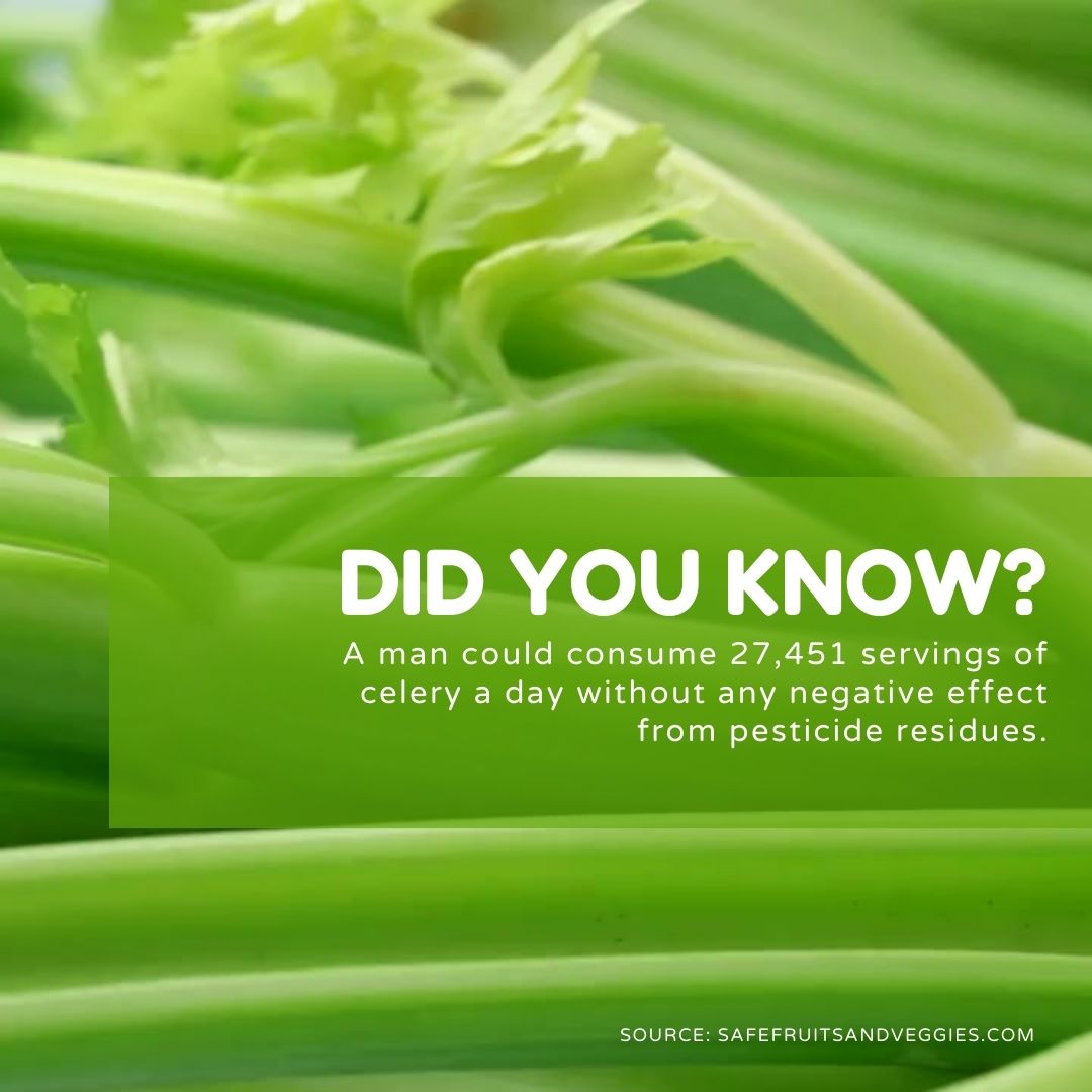 Does the #DirtyDozen list make you pause in the produce section? A man could eat 27, 451 servings of celery a day without any safety concerns from pesticide residues. That’s a lot of celery! This pesticide residue calculator puts residues into perspective: ow.ly/LcFN50QXAlG