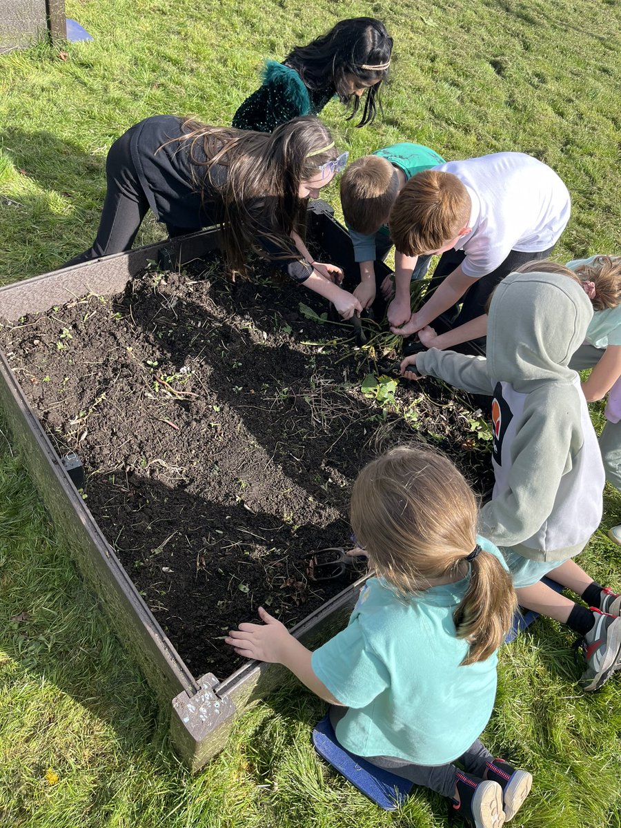 Malpas_Park's tweet photo. #MPPSY3 had a lovely day weeding, planting and organising our raised beds and pots. Da iawn pawb, you worked so hard!
#greenfingers
#gettingsummerready https://t.co/XO9GxwsYKL