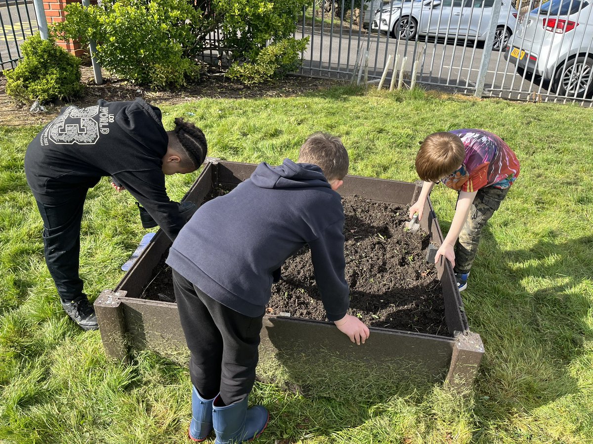 Malpas_Park's tweet photo. #MPPSY3 had a lovely day weeding, planting and organising our raised beds and pots. Da iawn pawb, you worked so hard!
#greenfingers
#gettingsummerready https://t.co/XO9GxwsYKL
