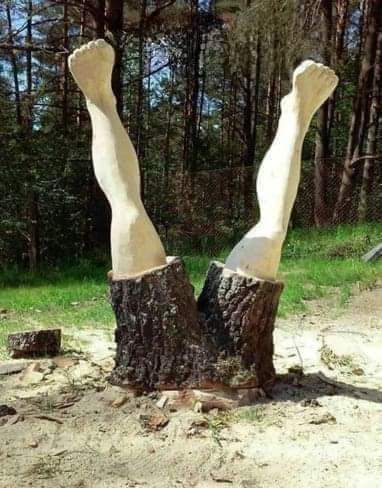 Muhamma12774545's tweet photo. Ground To Earth https://t.co/TEdPRIyFuF