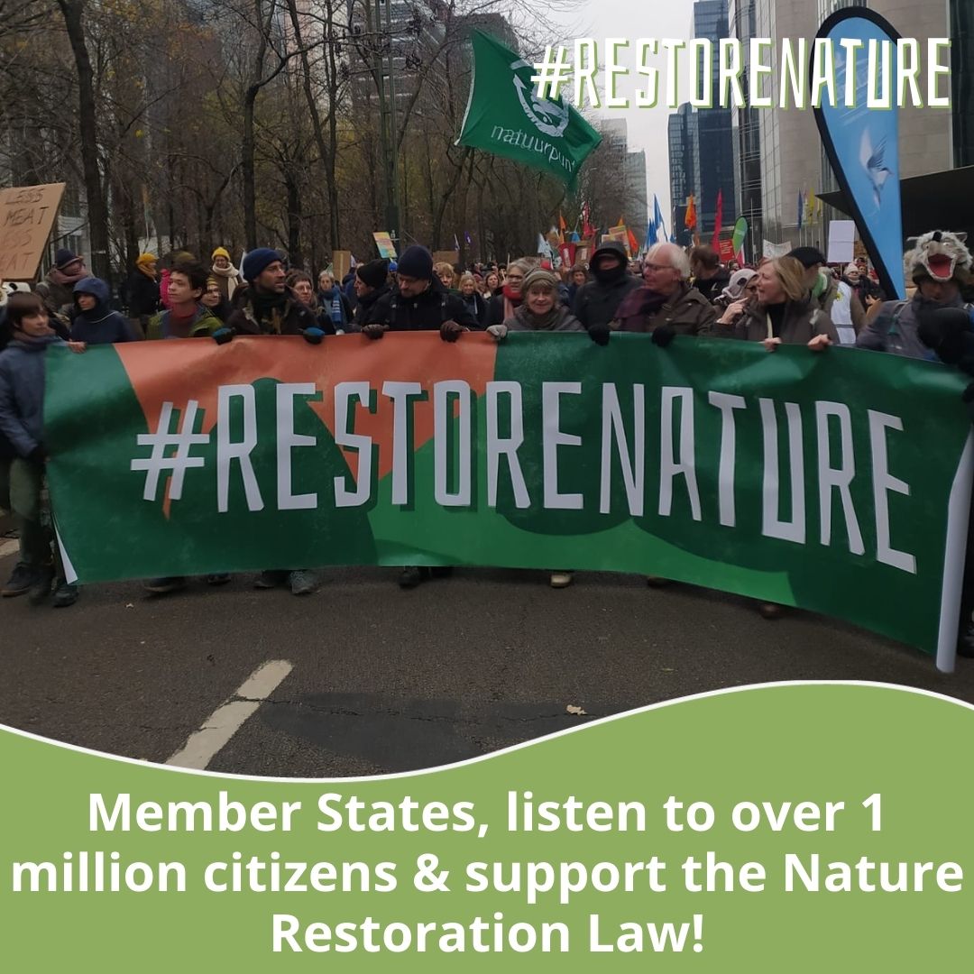 🚨 Update: The @EUCouncil failed to find a majority to support the #NatureRestorationLaw. 🏞️ What was supposedly a rubber-stamp vote has been derailed. Some EU countries have undermined the agreed deal. We call on @EU2024BE to break this deadlock and #RestoreNature!