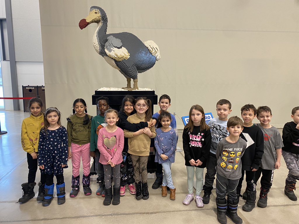 MmeChaouali's tweet photo. Great learning happening at Sean Kenny’s Animal Super Powers Lego Exhibit @Glade_Gators @MsAwender https://t.co/kjXj5NJBQX