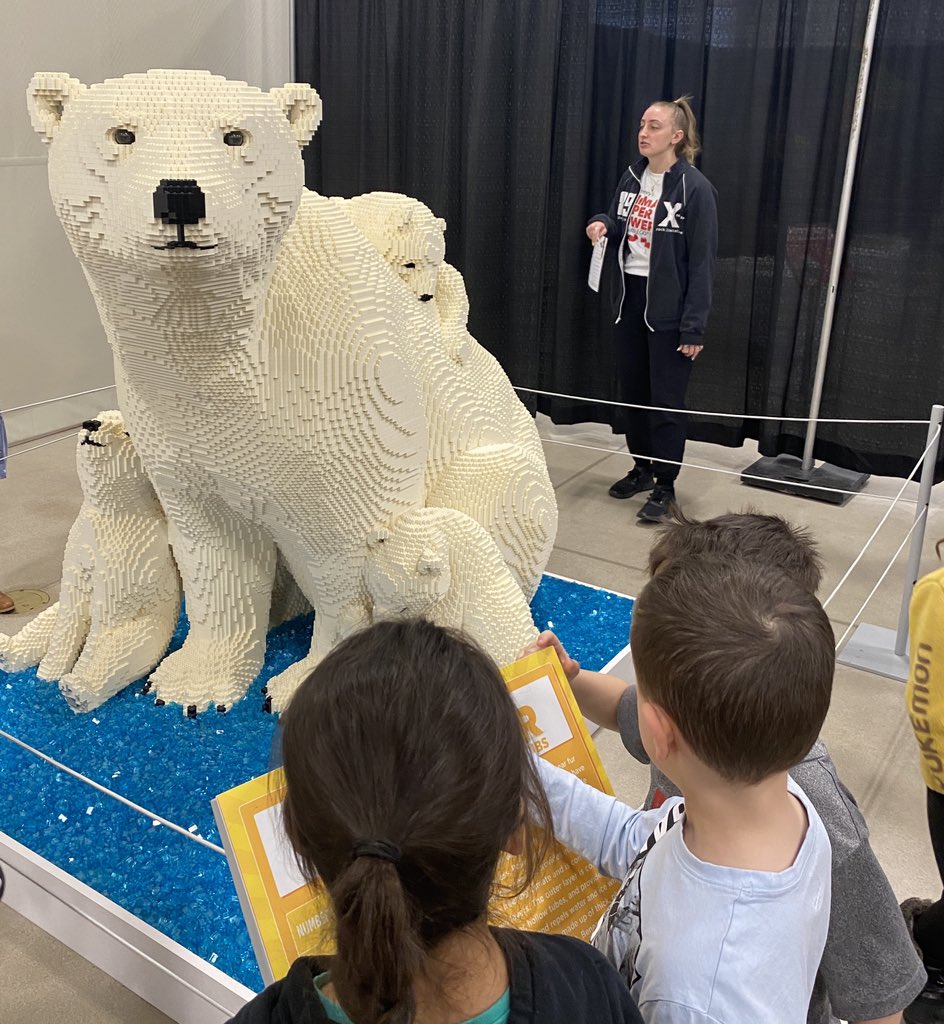 MmeChaouali's tweet photo. Great learning happening at Sean Kenny’s Animal Super Powers Lego Exhibit @Glade_Gators @MsAwender https://t.co/kjXj5NJBQX