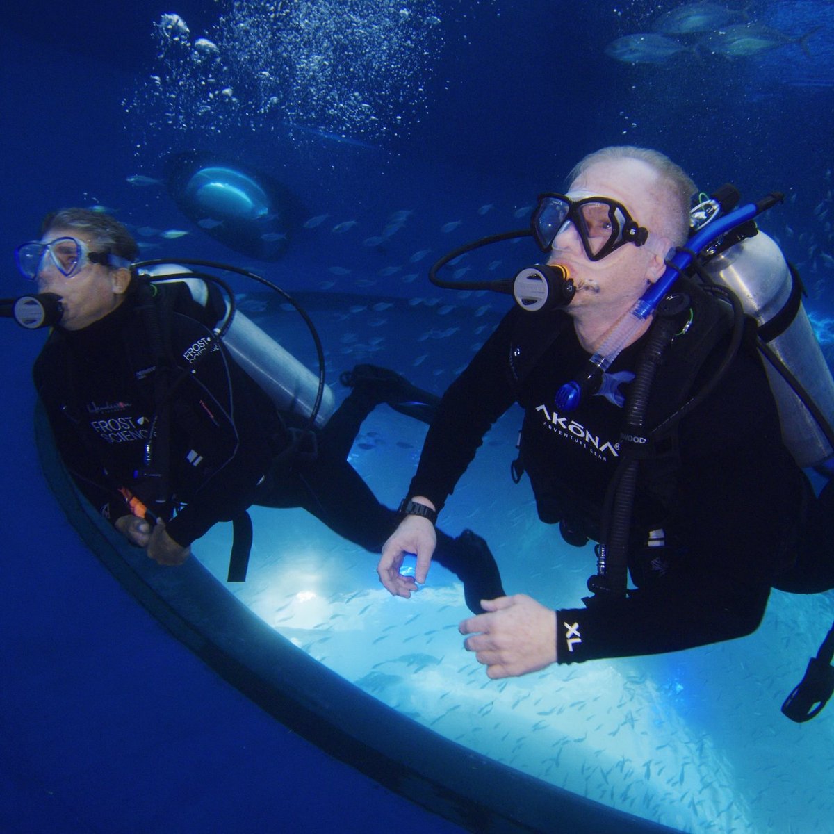 Bob Powell tweet media