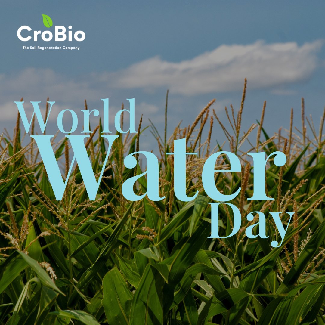 On this #WorldWaterDay, CroBio is combatting drought by aiming to revolutionise food production. 

By 2050, we'll need to increase global food supply by 50%, to feed over 9 billion people. Our mission? Boost soil productivity, enhance water retention, and regenerate farmland. 💧