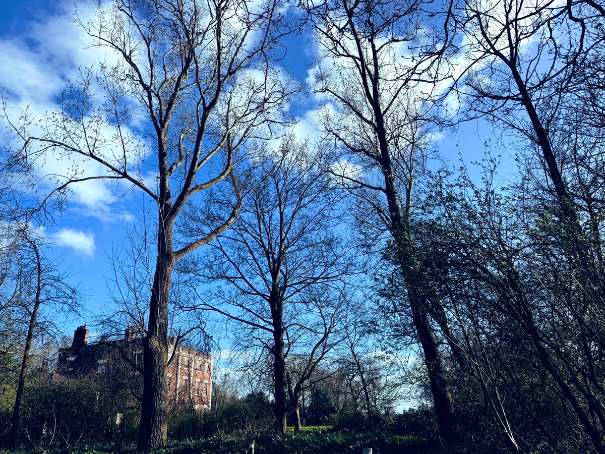 Blue Sky,Trafford Hall 🍃
