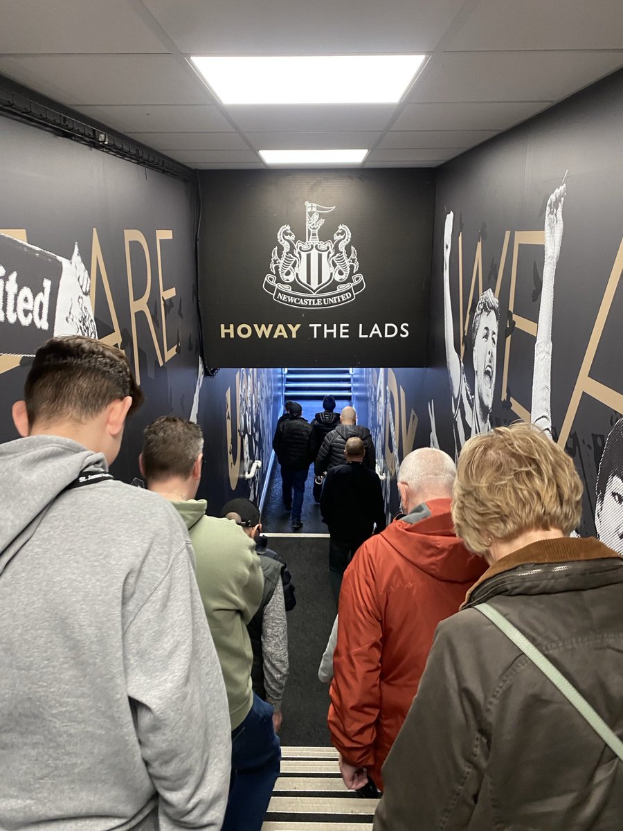kevhillsy's tweet photo. Howay The Spurs #inthetoon https://t.co/3OI0rT6JUU