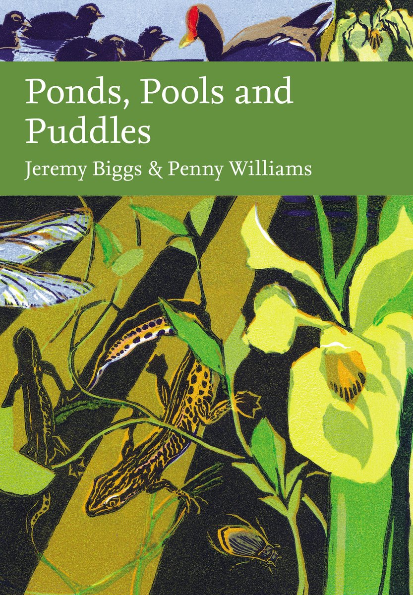 Freshwater Habitats Trust (@freshwaterhabs) on Twitter photo A new book challenges people to rethink the importance of the world’s smallest and most undervalued freshwater habitats 💦🌱
Coming soon from <a href="/HarperCollins/">HarperCollins</a> New Naturalist, 'Ponds, Pools and Puddles' is by <a href="/Freshwaterhabs/">Freshwater Habitats Trust</a> <a href="/jeremybiggs/">Jeremy Biggs_FHT</a> and Penny Williams.
freshwaterhabitats.org.uk/news/ponds-poo… A new book challenges people to rethink the importance of the world’s smallest and most undervalued freshwater habitats 💦🌱
Coming soon from <a href="/HarperCollins/">HarperCollins</a> New Naturalist, 'Ponds, Pools and Puddles' is by <a href="/Freshwaterhabs/">Freshwater Habitats Trust</a> <a href="/jeremybiggs/">Jeremy Biggs_FHT</a> and Penny Williams.
freshwaterhabitats.org.uk/news/ponds-poo…
