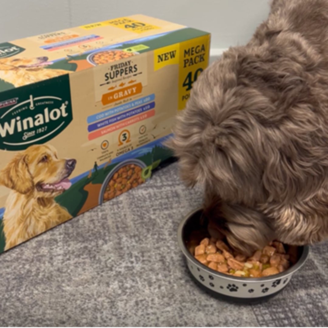 Does your dog love Winalot? Have they tried the new Friday Suppers? If so, we’d love to see them enjoying their Fishy Friday! For your pooch to be featured online, leave a review with a photo on our website! 👇

spr.ly/6013kvRY3