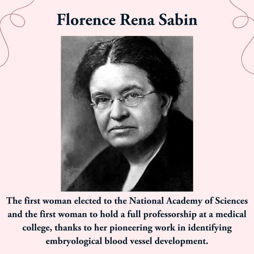 Trilogy Connect tweet media