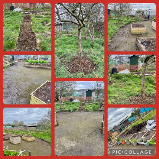 Many thanks to EBN Academy, who have put back so much into the community with CET. They have cleaned and tidied the allotment paths, put mulch around some of our fruit trees, helped to arrange plants on our developing sensory garden and celebrated with an awards ceremony #UKSPF