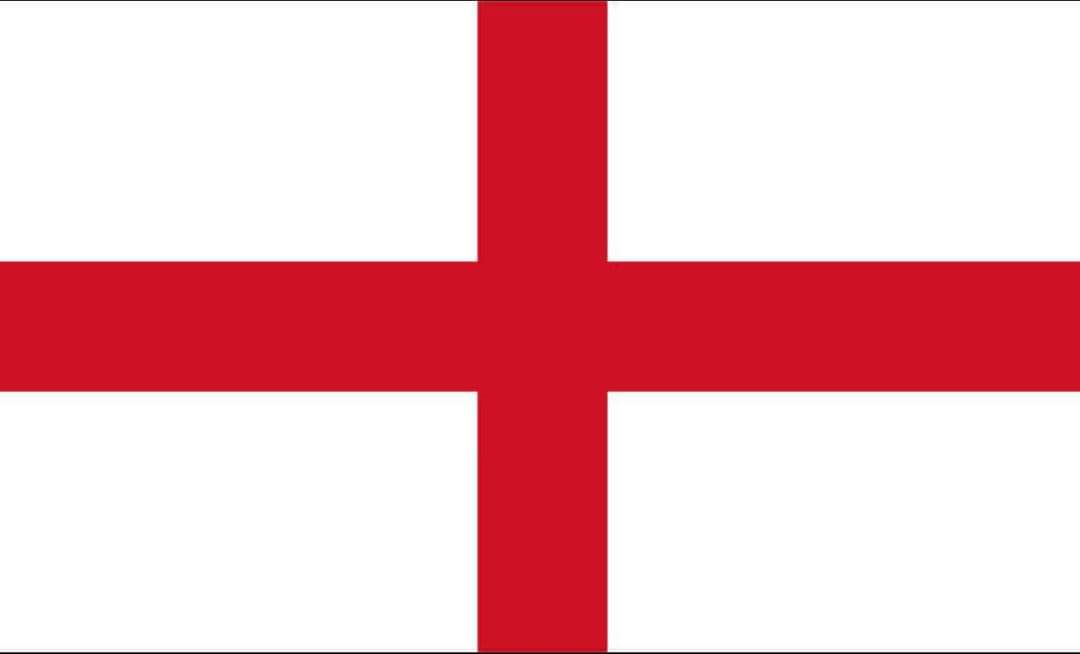 Lee Anderson MP tweet media