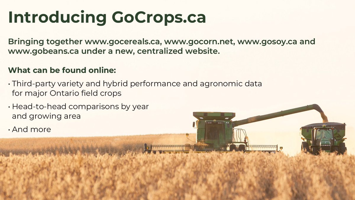 Hey #ontag!  ITS HERE!  Find wheat/cereal, corn, soy, pulses Ontario crop trial data here on the NEW GoCrops.ca website.  gfo.ca/news-releases/…