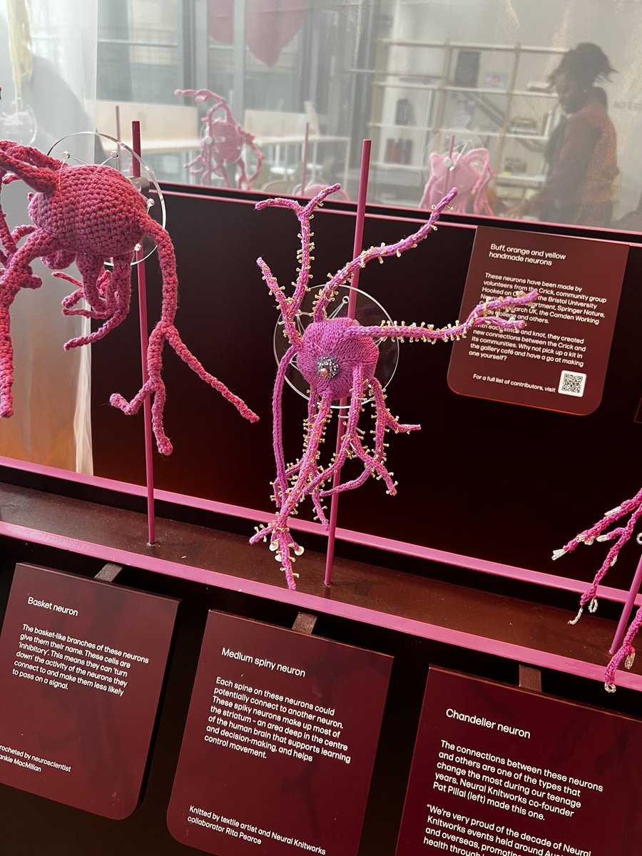 Burlington House again today. This time for a @Soc_Endo meeting - helping to shape the future. Popped into the Brains exhibition at the Francis Crick Institute @TheCrick before heading back on the train north. #recognition #endocrinology