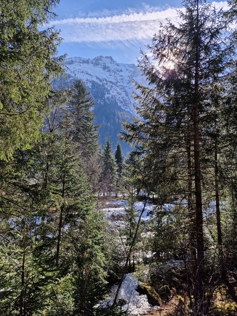 Ahir que va ser el Dia Internacional dels Boscos ho vam celebrar a Trins (Tirol austríac) a la reunió anual amb el @ProjecteBoscos i @bergwaldprojekt Avui els hem pogut visitar en directe i conèixer de primera mà les seves problemàtiques i discutir sobre el seu futur!