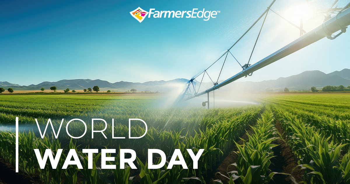 Happy World Water Day! 💧 At Farmers Edge, we deeply understand the vital role water plays in agriculture and sustaining life on Earth. As we celebrate this day, we reaffirm our commitment to being part of the solution for a brighter future. loom.ly/QtfaXoU #WorldWaterDay