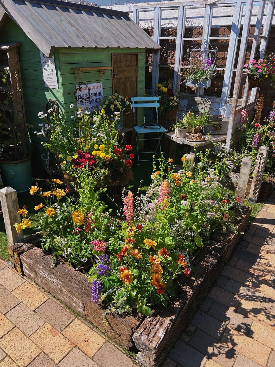 Numkangz's tweet photo. ร้านดอกไม้ มีมุมจัดสวนสวย เห็นอย่างนี้อยากจะไปชมทุกวันเลย😊 🪴🌿💐 https://t.co/iy9S73dRE1